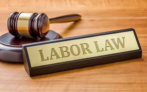 Employment contract system amendments