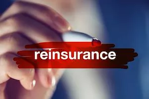 Reinsurance Regulations Become More Flexible