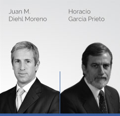 Horacio D. García Prieto, M. Lorena Schiariti, Enrique V. Veramendi