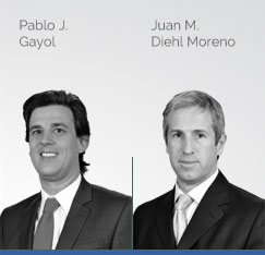 Horacio D. García Prieto, M. Lorena Schiariti, Enrique V. Veramendi