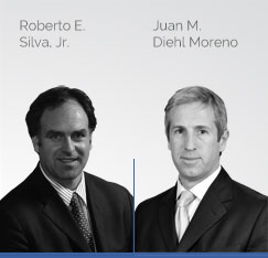 Roberto E. Silva, Jr., Juan M. Diehl Moreno