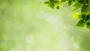 New Regulations on Environmental Insurance