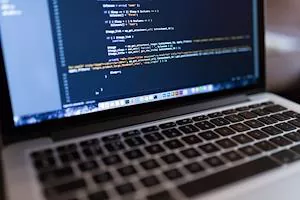 Digital Government and Software
