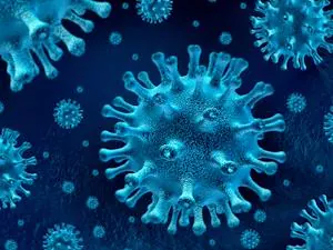 Portal de Información Coronavirus (COVID-19)