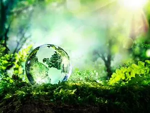Environmental News N° 86