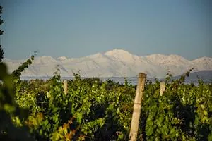 El Instituto Nacional de Vitivinicultura lanza el nuevo Programa Vino Cercano