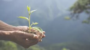 Environmental News N° 88
