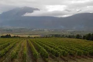 Patagonia as a Geographical Indication: What's Changed?