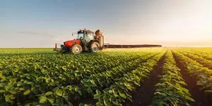 New economic measures: increase of export duty rates on soybean oil and flour, and the creation of the argentine wheat stabilizing fund. 