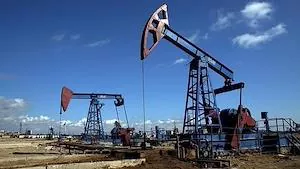 Implementation of the Access to Hard Currency for Hydrocarbon Producers
