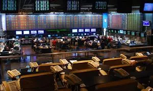 La CNV incorporó un nuevo régimen simplificado y garantizado para ON con impacto social