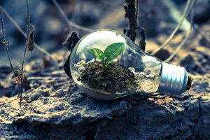 New Green Employment Program