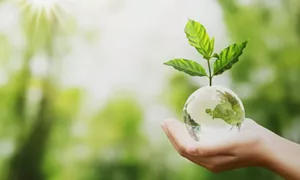Environmental News N° 96