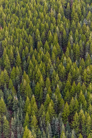 Environmental News N°98