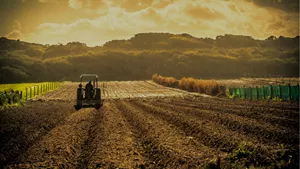 Nuevos criterios para la valoración de las exportaciones de productos agrícolas que utilizan insumos importados