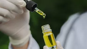 Marco Regulatorio para el Desarrollo de la Industria del Cannabis Medicinal y el Cáñamo Industrial: conozca las novedades 