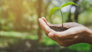 Environmental News N°100