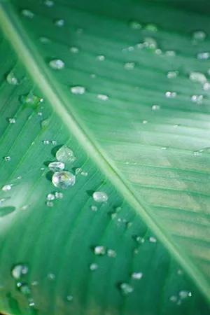 Environmental News N°102
