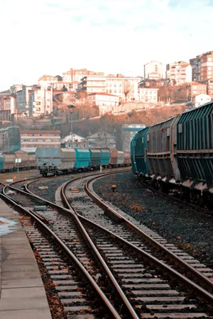 Licitación para privatizar Belgrano Cargas