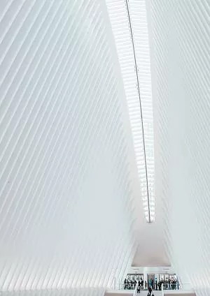 The Social Solidarity and Productive Reactivation Law