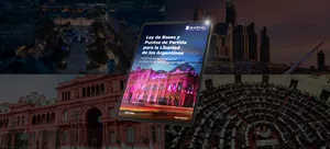Ley de Bases - 2024