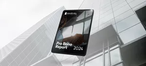 Pro Bono Report 2024